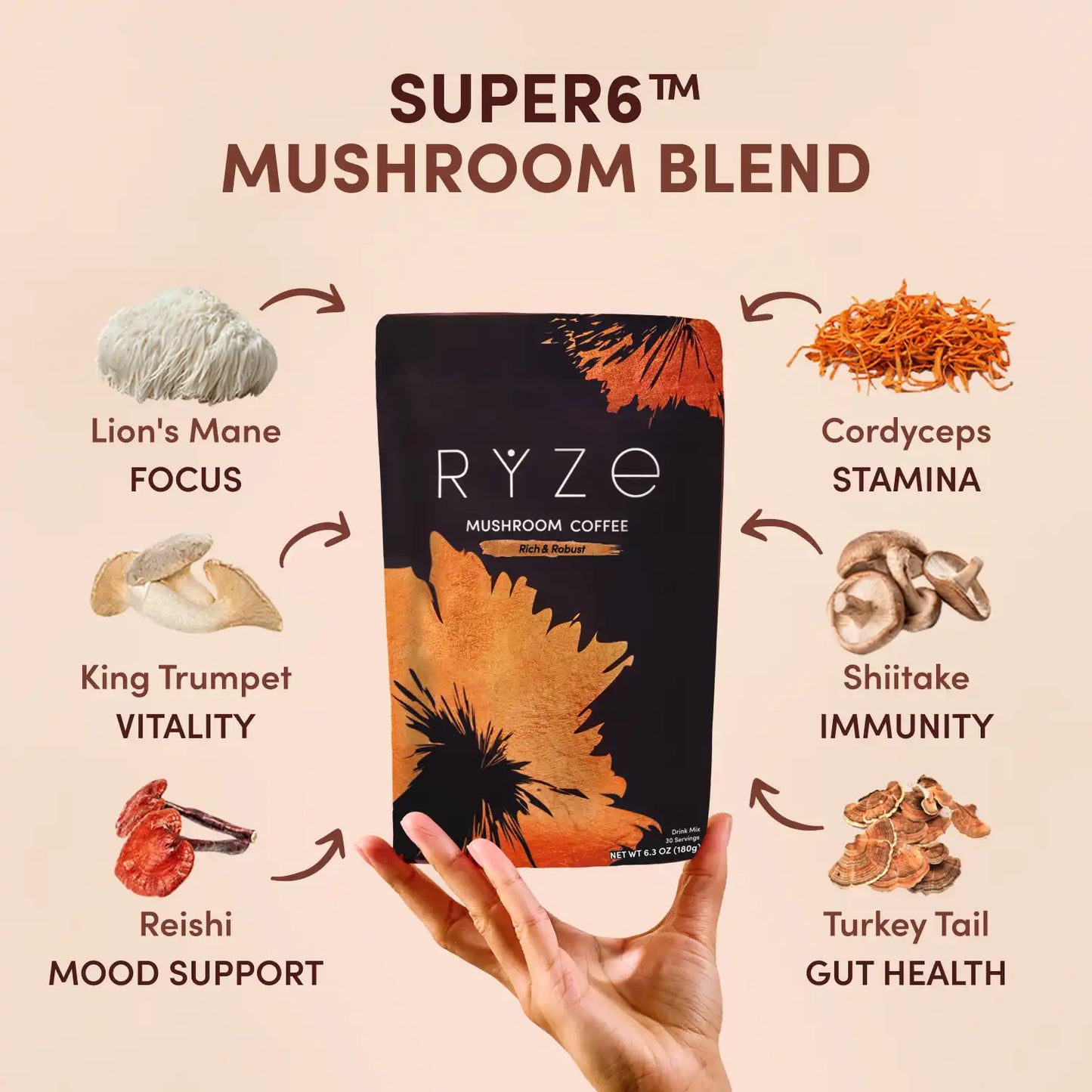 Dark Roast Starter Kit | Signature Dawn Stone