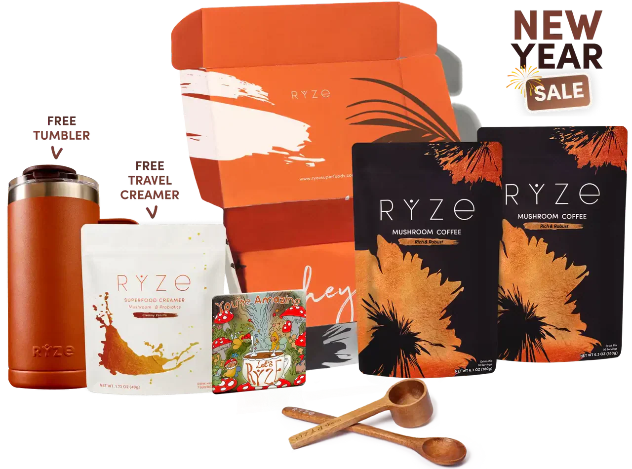 Dark Roast Starter Kit | Signature Dawn Stone