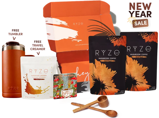 Dark Roast Starter Kit | Signature Dawn Stone