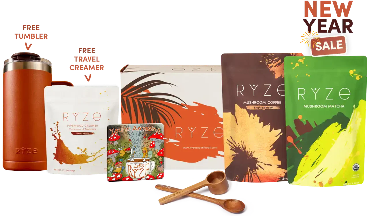 All Day Energy | Collection Amber Cove