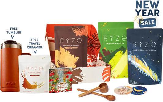 Ultimate Day + Night Bundle | Collection Velvet Ridge